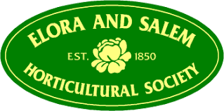 Elora & Salem – 4th Annual Spring Event with Speaker: Janet Cox