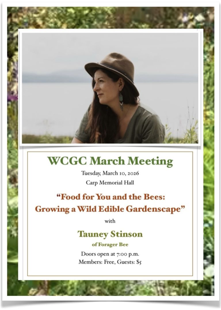 “Food for You and the Bees: Growing a Wild Edible Gardenscape”