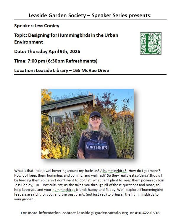 Designing for Hummingbirds in the Urban Environment