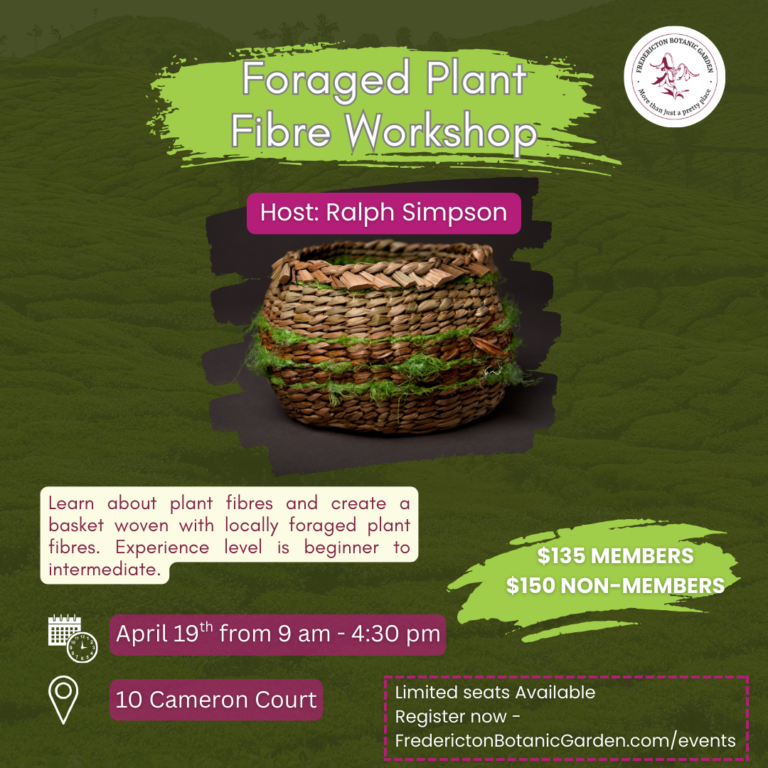 Foraged Plant Fibre Workshop
