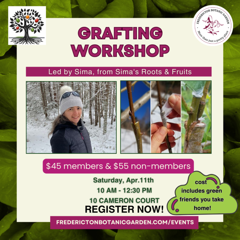 Grafting Workshop