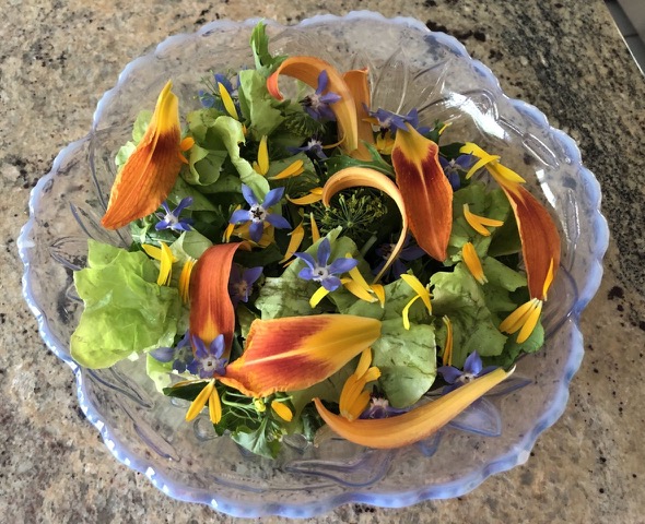 Culinary Delights With Herbs & Edible Flowers