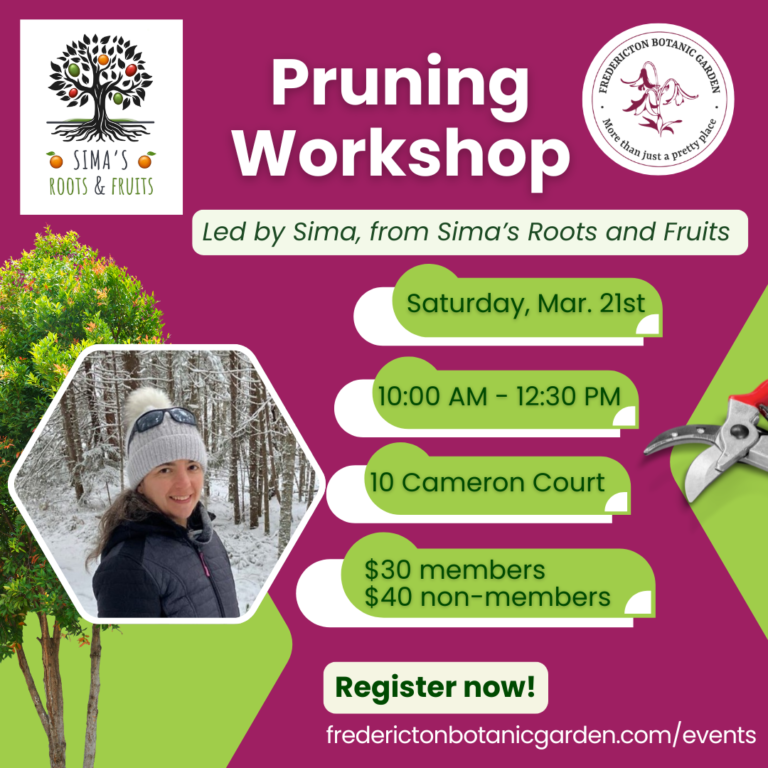 Pruning Workshop