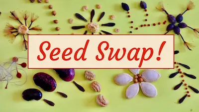 Seed Swap!