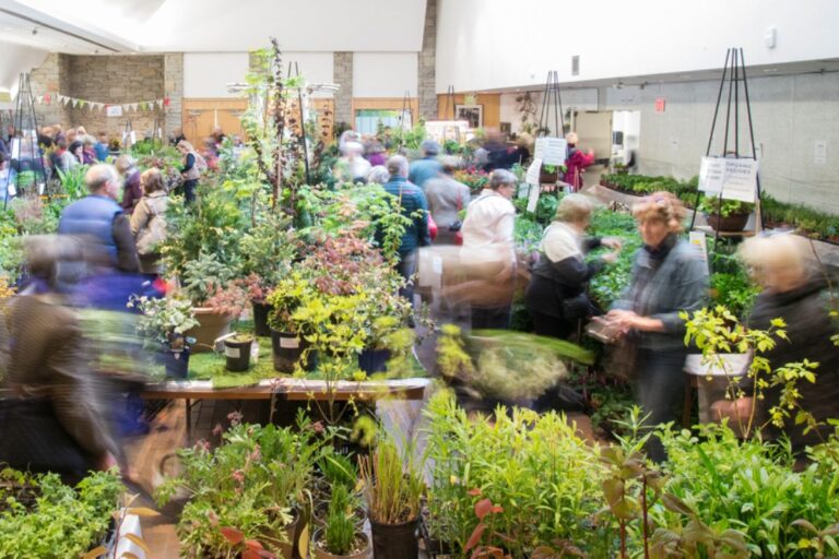 Toronto Botanical Garden Spring Plant Sale 2026