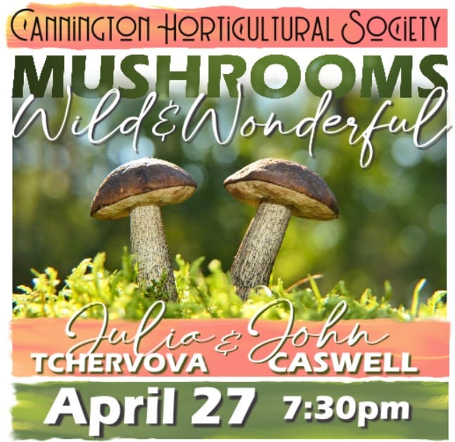 CHS April Meeting: Mushrooms~Wild & Wonderful