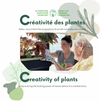 copie de 1.1 final ffam creative visuals 2026