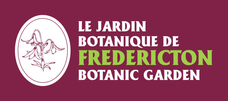 Felting Workshop With Caoife Garvey – 17th May