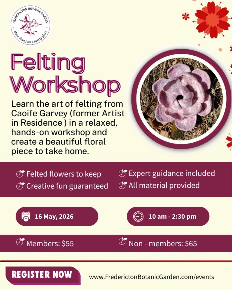 Felting Workshop With Caoife garvey