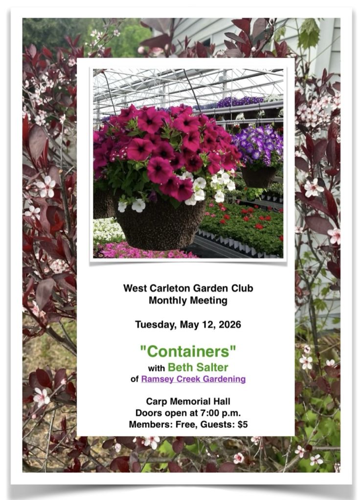 Planning our Containers!