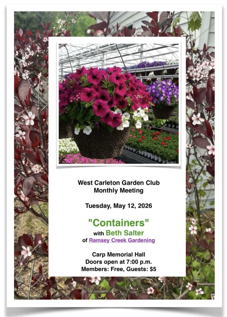 Planning our Containers!