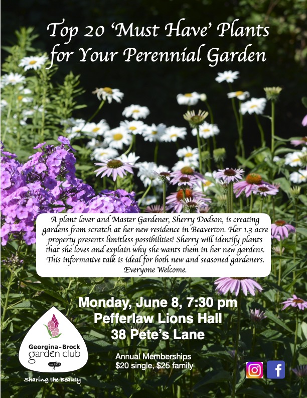 Top 20 ‘Must Have’ Plants for Your Perennial Garden