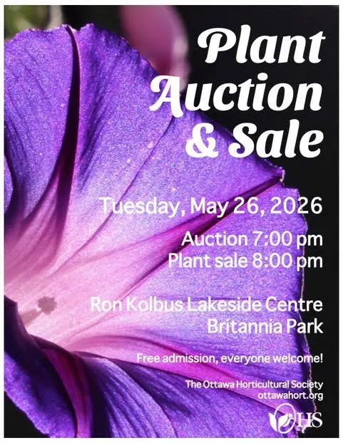 OHS Annual Plant Auction & Sale