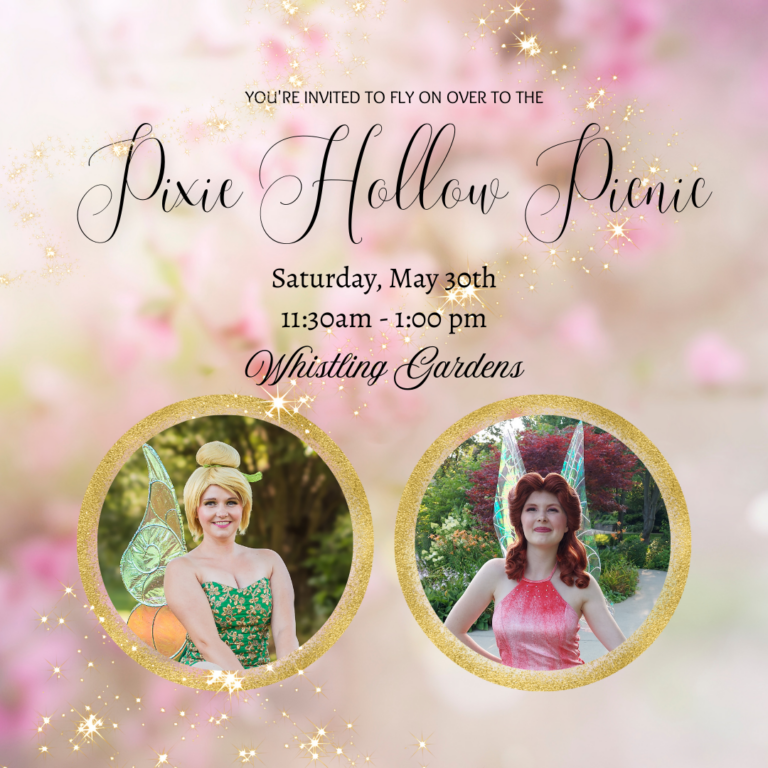 Pixie Hollow Picnic