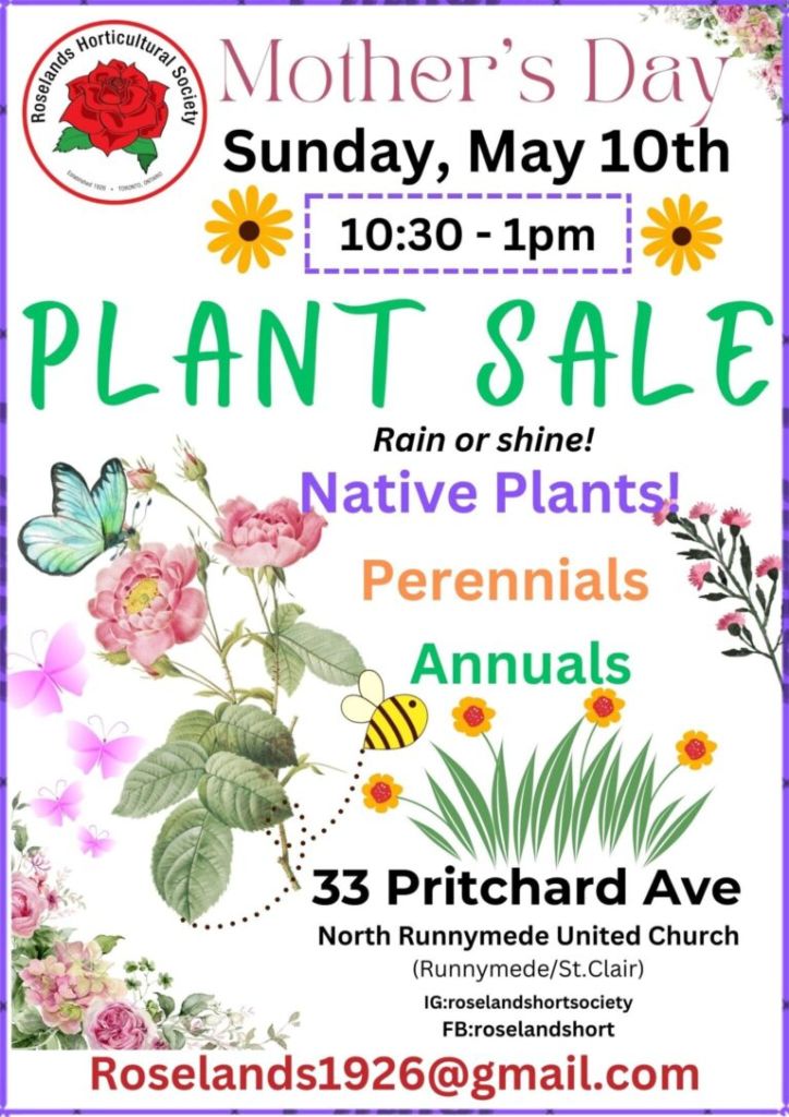 Plant Sale