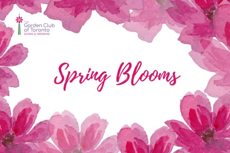 The Garden Club of Toronto Spring Blooms