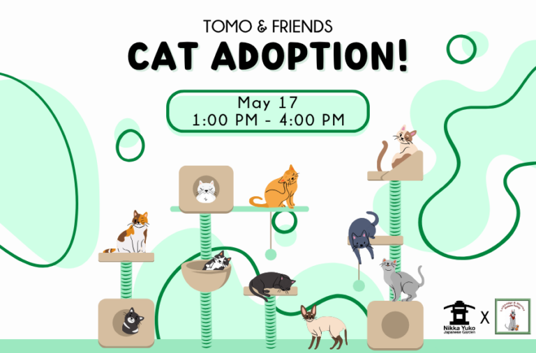 Tomo & Friends: Cat Adoption + Market