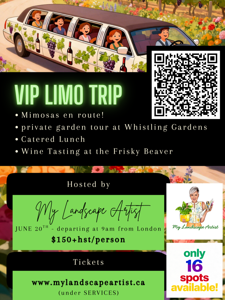 VIP Limo Trip!