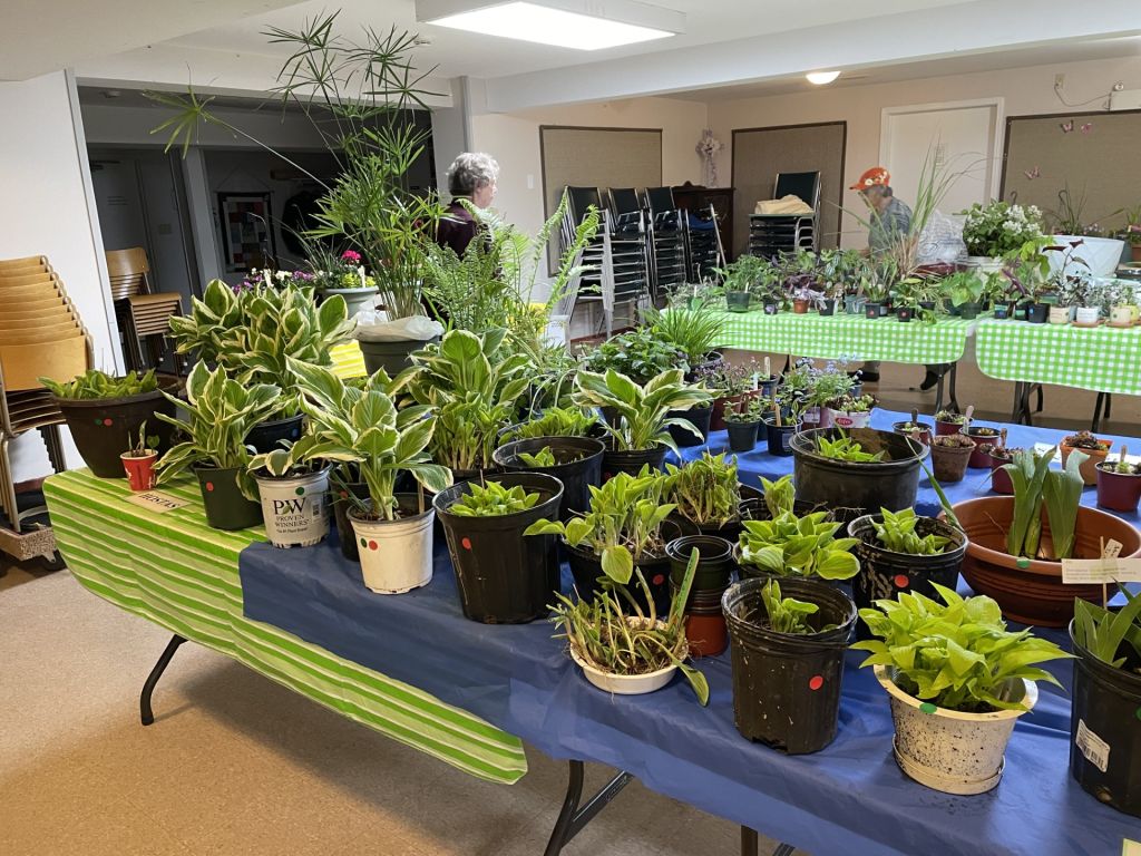 Spring Plant Sale
