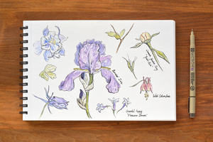 Garden Sketchbook: 5-Part Workshop