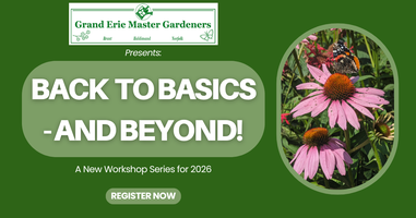 Back to Basics – And Beyond! Workshop #3