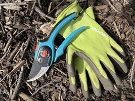 Caring For Your Yard