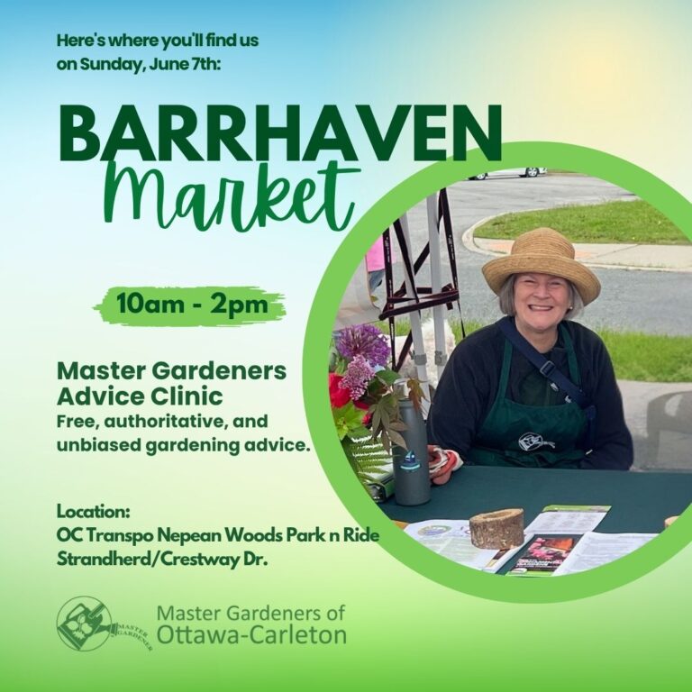 Advice Clinic at Barrhaven Farmers Market