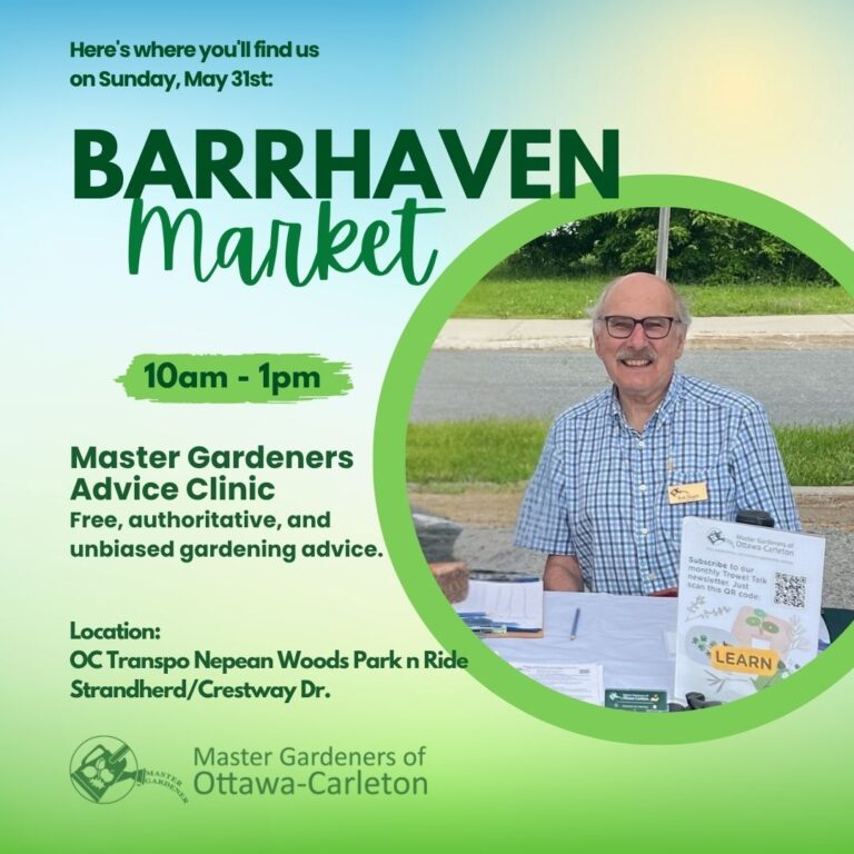 Advice Clinic at Barrhaven Farmers Market