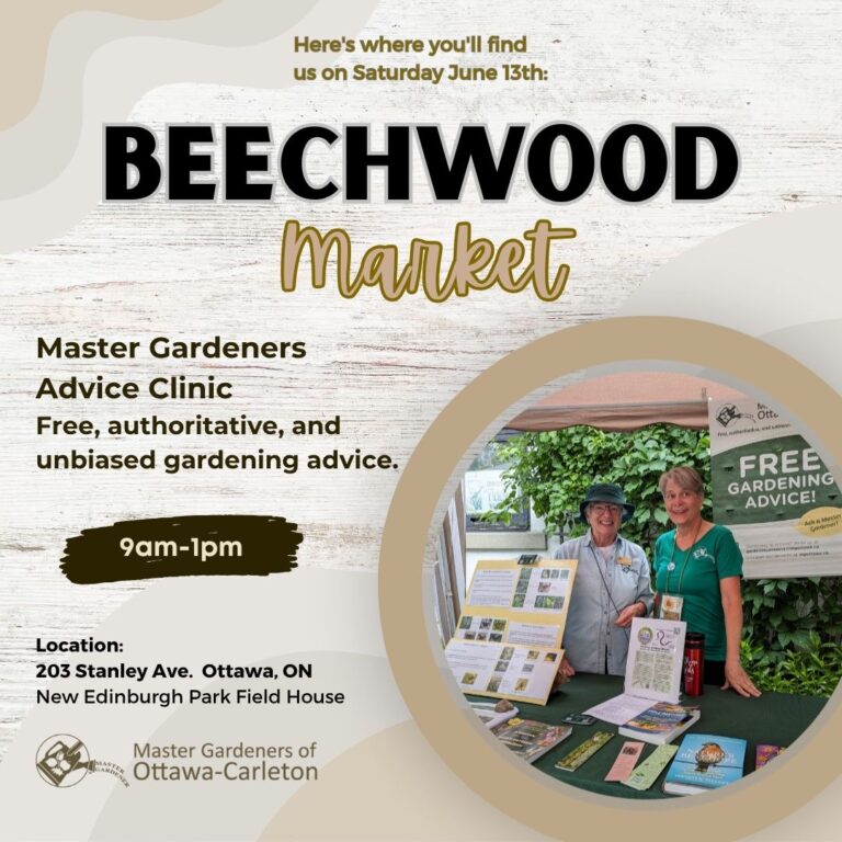 Advice Clinic at Beechwood Farmers’ Market