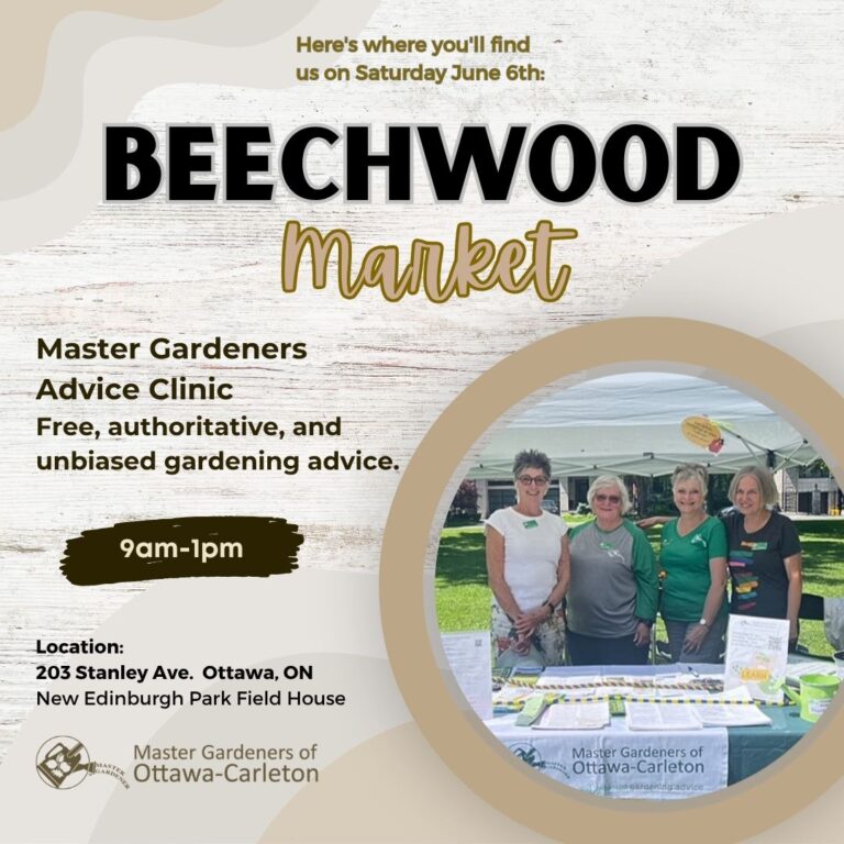 Advice Clinic at Beechwood Farmers’ Market