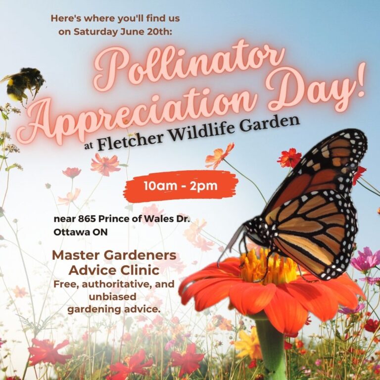 Advice Clinic at Fletcher Wildlife Garden Pollinator Appreciation Day