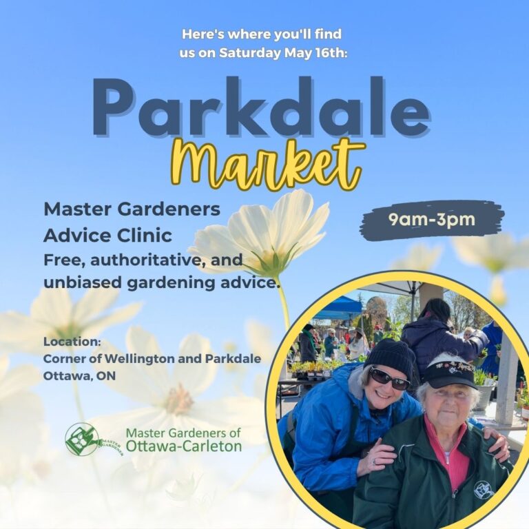Advice Clinic at Parkdale Farmers’ Market