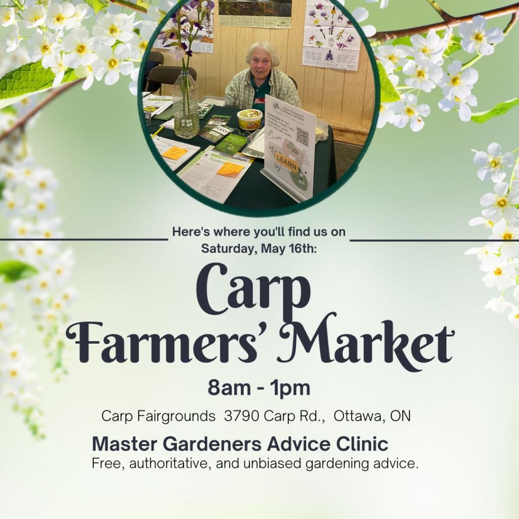 Advice Clinic at Carp Farmers’ Market