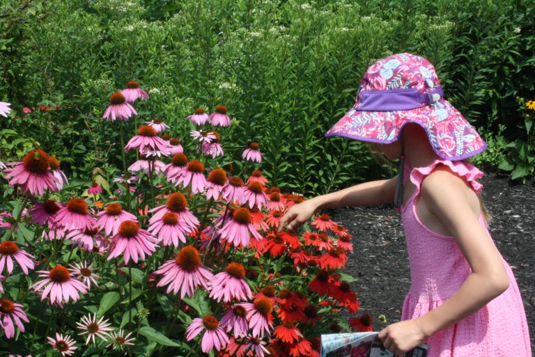 DISTRICT 2 FLOWER SHOW & EDIBLES SHOW
