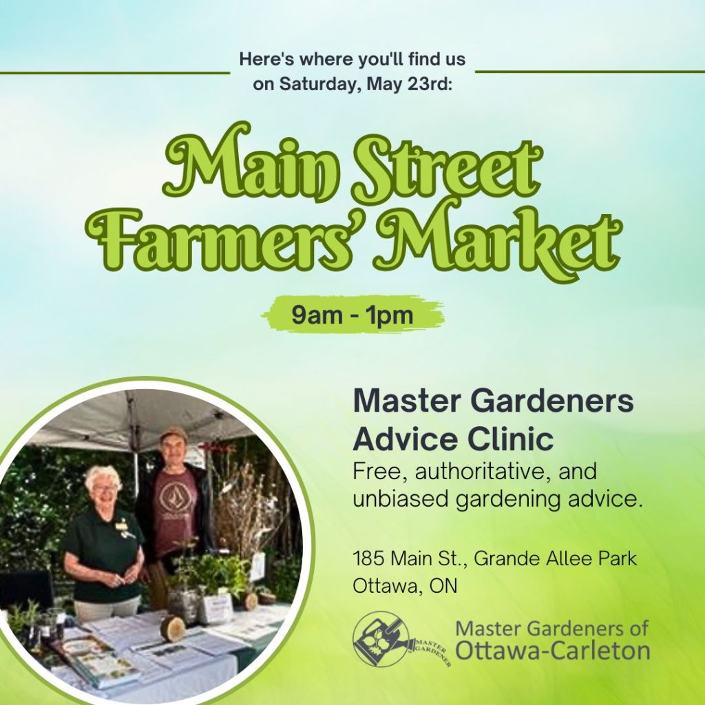 Advice Clinic at Main St. Farmers’ Market