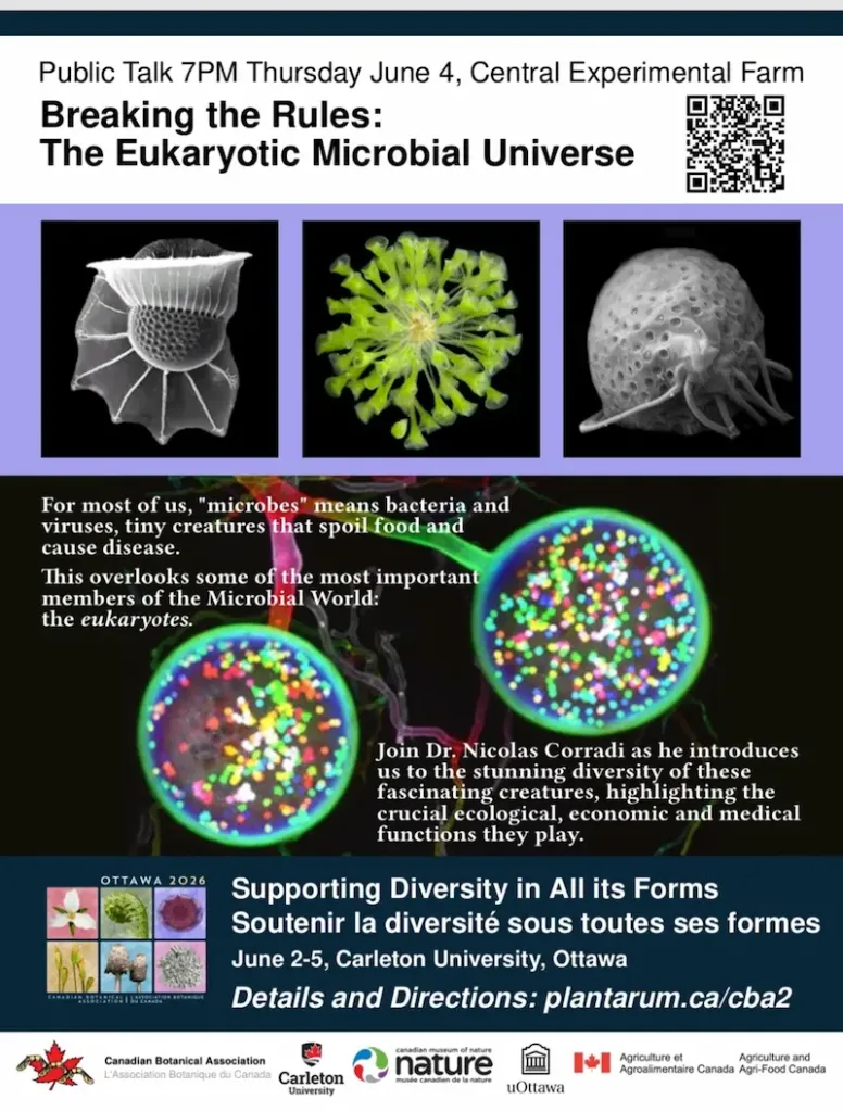 Breaking the Rules: The Microbial Universe