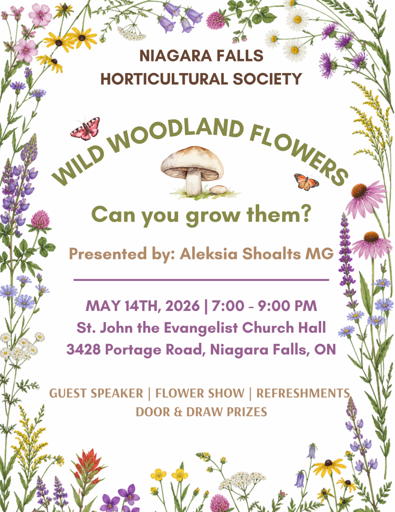 Niagara Falls Horticultural presents:  Wild Woodland Flowers:  Can you grow them?