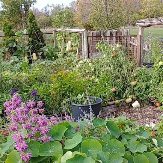 Neat Garden Things from A to Z