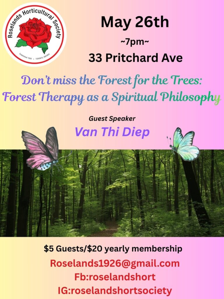 Speaker Series – Van Thi Diep