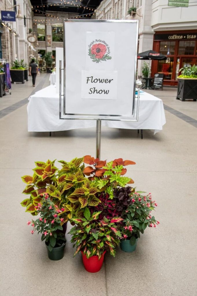 Summer Flower Show