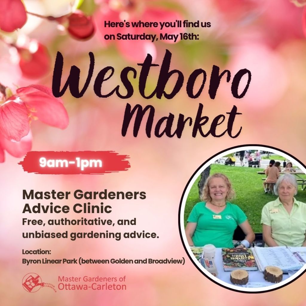 Advice Clinic at Westboro Farmers’ Market