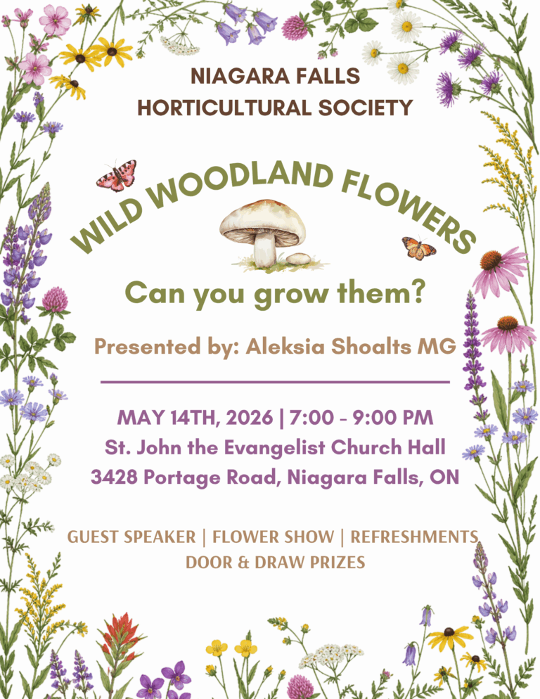 Wild Woodland Flowers: Can you grow them?