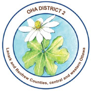 d2logo new1.jpg