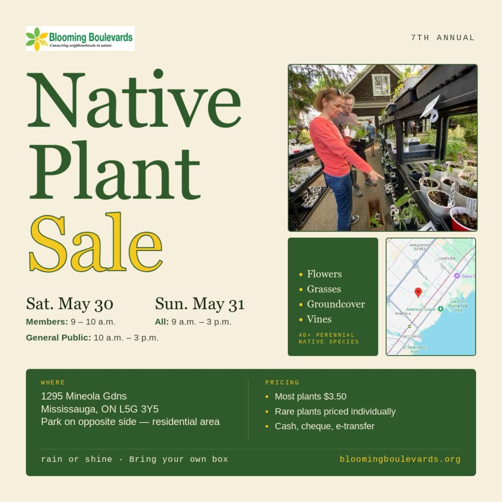 7th Annual Native Plant Sale