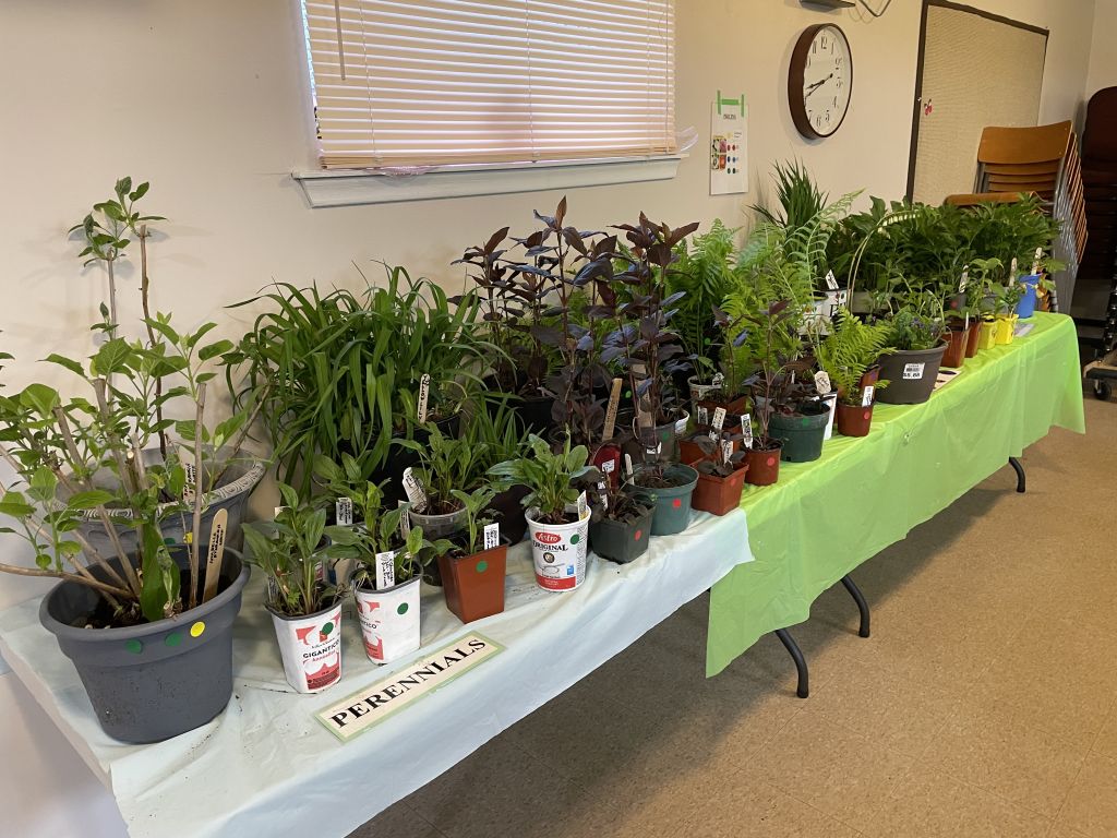 Spring Plant Sale