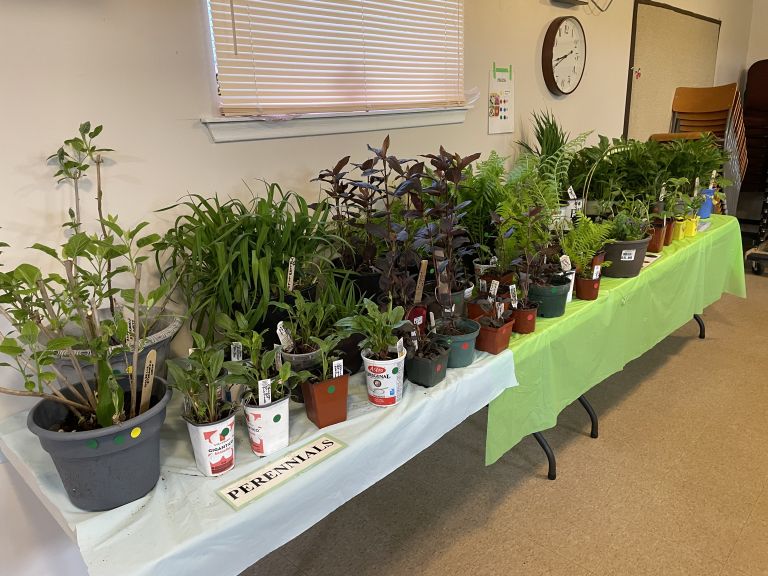 Spring Plant Sale