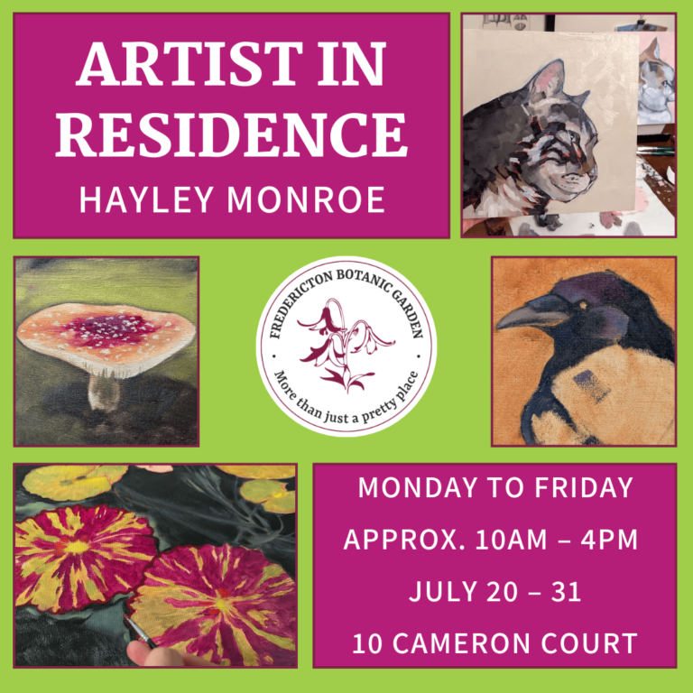 Artist in Residence: Hayley Monroe