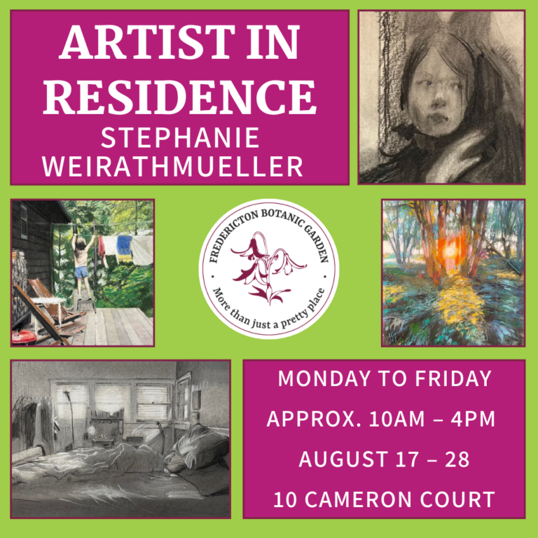 Artist in Residence: Stephanie Weirathmueller
