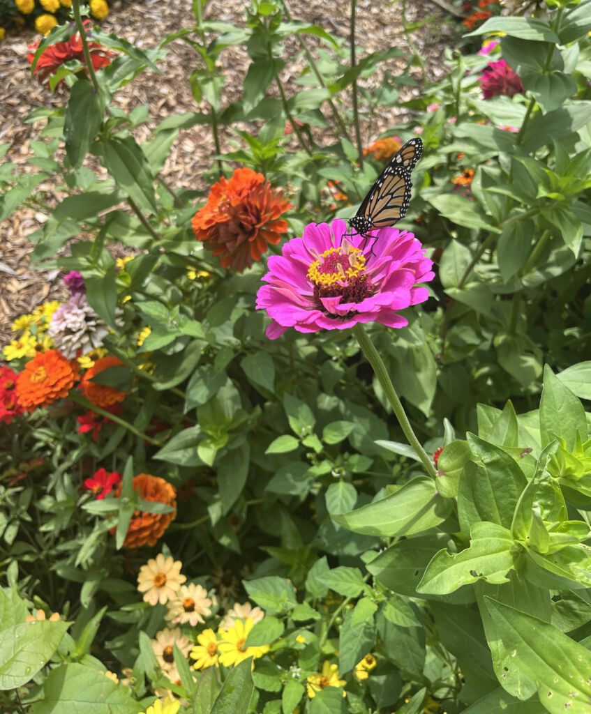 August Social