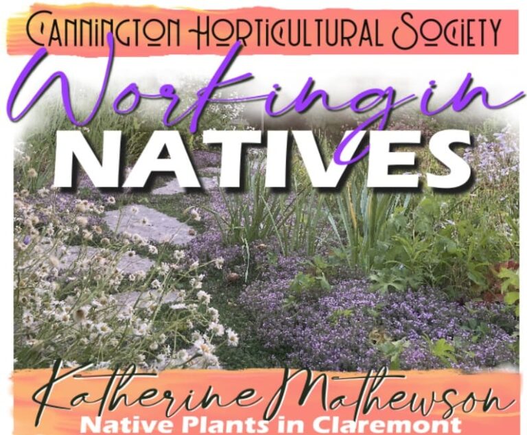 CHS June Meeting: Working in Natives